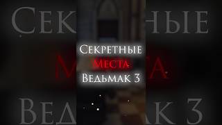 ВЕДЬМАК 3 - СЕКРЕТЫ ВЫЗИМЫ #ведьмак3 #thewitcher #shorts