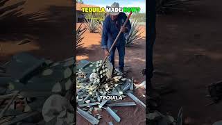 How Tequila Is Really Made!