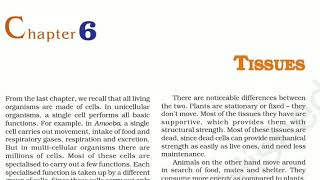 Class 9 | biology chapter 6 tissue part - 1