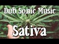 Sonic sativa dub grooves for elevated weed soul  mind