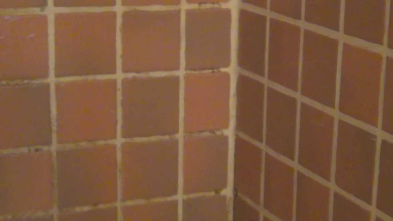 Carnival Victory review (Bathroom DISGUSTING)