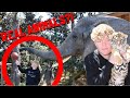 I Played With TIGERS, MONKEYS, And ELEPHANTS!?!?