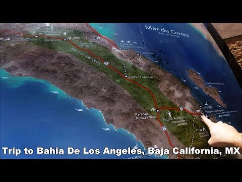 Video: Selam Skuba Terbaik Di Baja California, Mexico