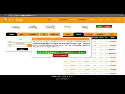 Understanding Bitcoin Cash (BCH) as a Casino Deposit Method