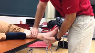 Talar tilt eversion stress test