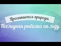 Просыпается природа. Последняя рыбалка на льду.