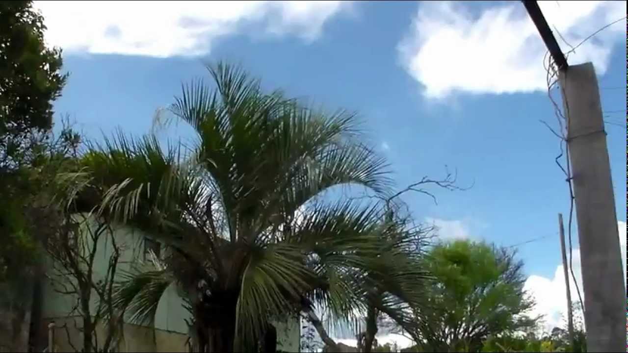 barragem aguieira HDV_0023.MP4 -Rincão-CULTIVANDO GIRASSÓIS-RS