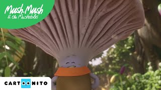 Mush Mush Ve Arkadaşlari Uçmakla Meşgul Cartoonito Türkiye