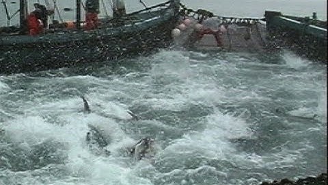 La almadraba, pesca tradicional del atún en Barbate | Día de la Gente de Mar