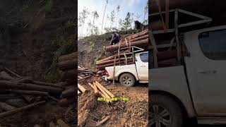 Dad's Dream Job: Excavator Operator - What's Next