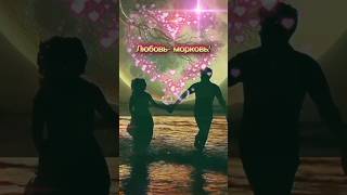 Любовь-морковь! ( песня для настроения)