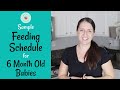Sample 6 Month Old Baby Feeding Schedule | Baby Led Weaning