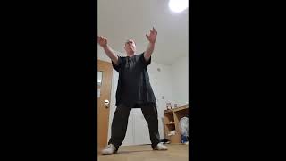 Chow Gar Southern Praying Mantis Saam Bo Jin