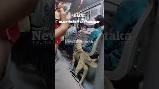 Humans alone travel Bengaluru: Dog commuting on government bus challenges the idea | News Karnataka