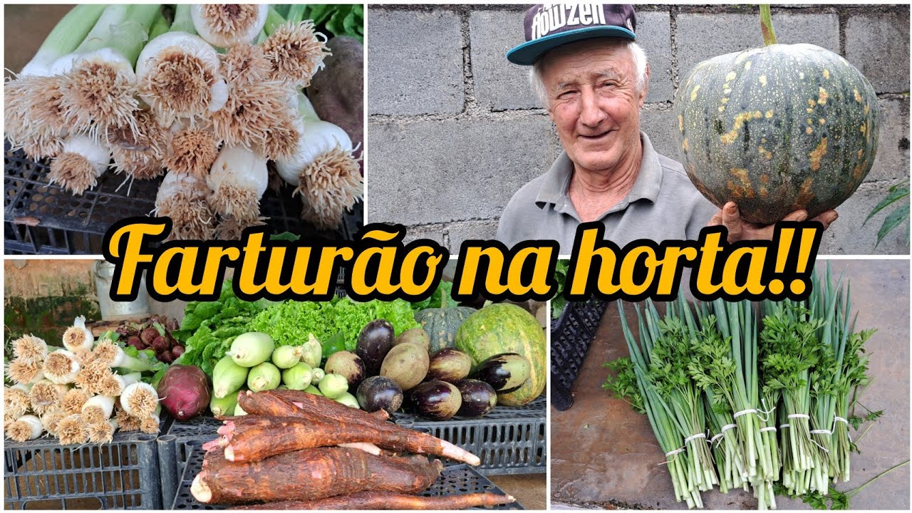 GRANDE FARTURA NA HORTA /UMA GRANDE COLHEITA DO QUE PRODUZIMOS 