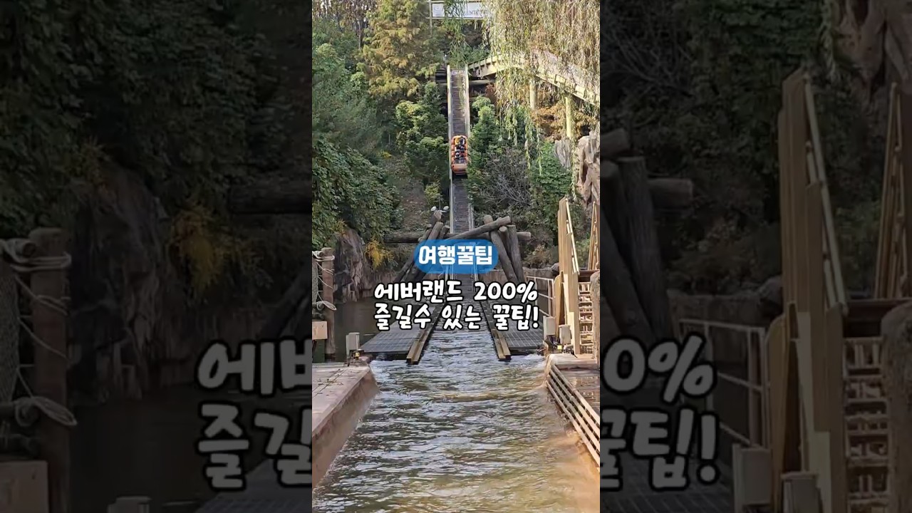 에버랜드 200% 즐기는 꿀팁 정보! 