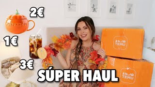 ¡HAUL ENORME TEMU Otoño 2023! Descuentos y Cupones (Deco &amp; Fiestas) | Bstyle