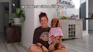 Switching lives with my dog