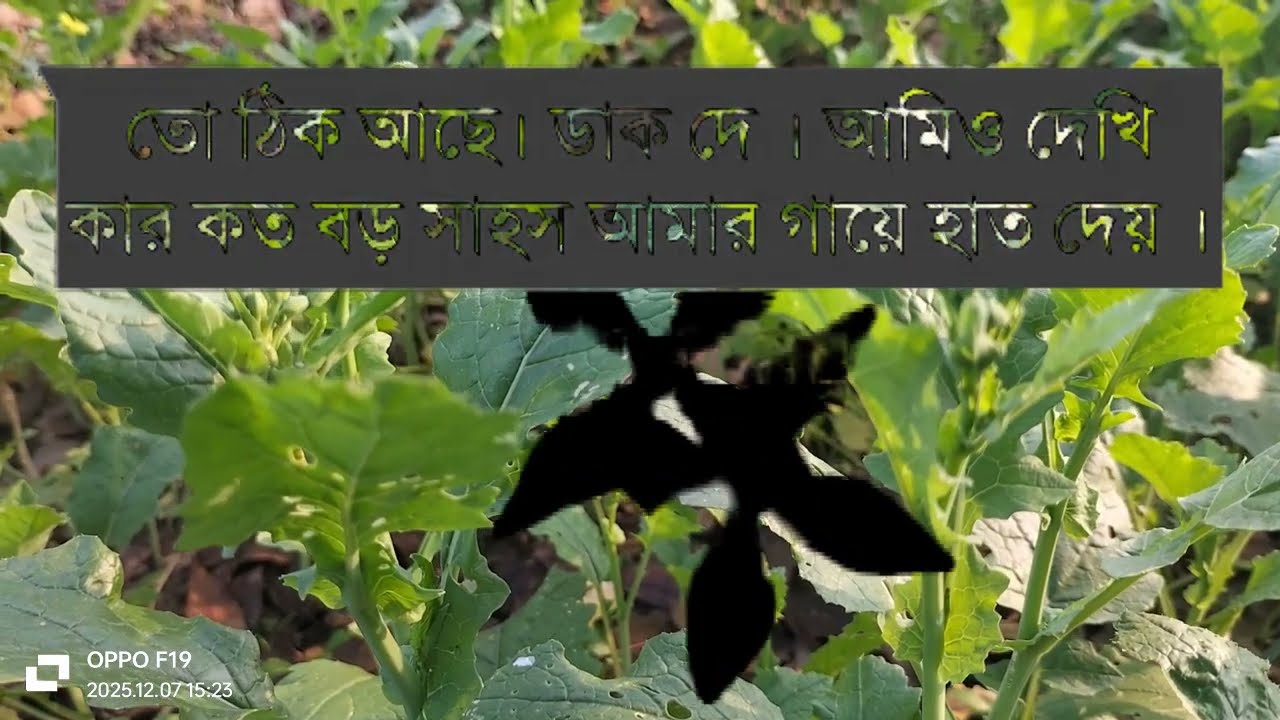 পিচ্চি মেয়ের সাথে হঠাৎ করে বিয়ে//সকল পর্ব// হিমু সোনালিকা নতুন লাভইষ্টোরি গল্প||
