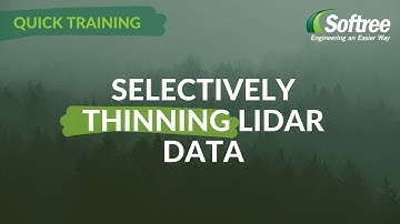 Softree Training: Thinning LiDAR Data at Import