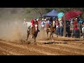 Carreras de Caballos en Meresichic 19 de Mayo 2024