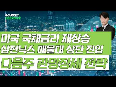 바이백 효과 제한적…미국 국채금리 재상승 삼전닉스 매물대 상단 진입 주의! 다음주 관망장세 대응 전략 #삼전닉스 #랭킹업앤다운 #김형일