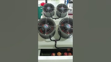 Appple washing grading machines,mini apple sorting machine,small fruit sorter,automatic grader