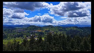 Oregon Forest to Sky ~ DJI Mini 4 Pro ~