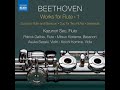 Serenade for Flute, Violin & Viola in D Major, Op. 25: II. Tempo ordinario d'un menuetto Mp3 Song