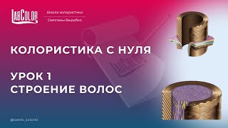 Строение волоса. Колористика с нуля. Урок 1