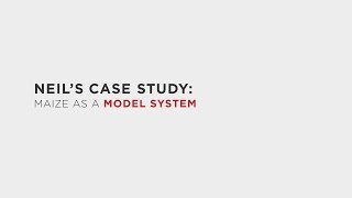 8. Model System Case Study – Neil: Maize (LE: Module 1, Part 8)