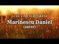 Daniel Marinescu - Lume lume blestemata (cover)