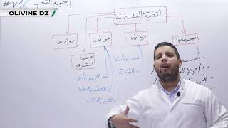 16#_الادب العربي -جميع الشعب _القضية الفلسطينية