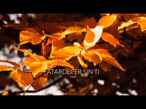 Fase - Atardecer sin ti (Visualizer)