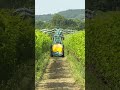 trattamento in vigneto con il @deutzfahrofficial  TTV 5105 DS #mattthefarmer #Deutz_Fahr #adv