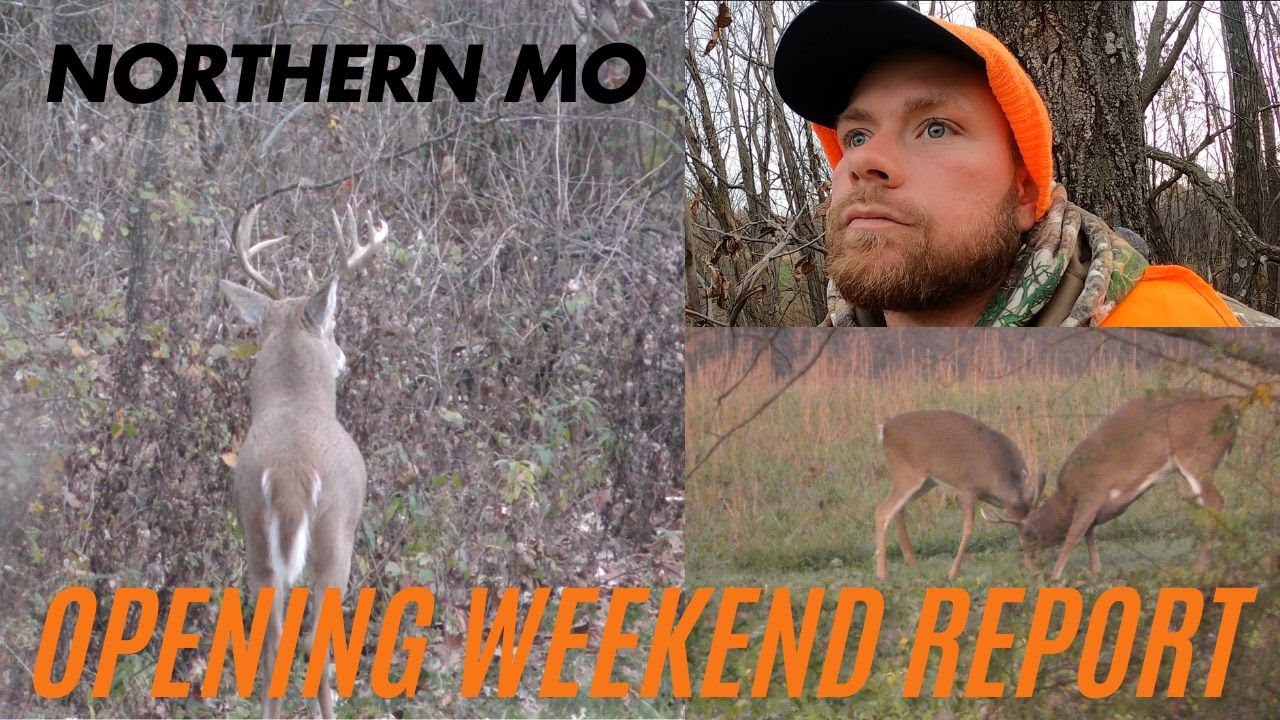 Opening Weekend Rifle Season Report | Deer Hunting | Northern MO