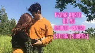 | PYAAR KARTE HO NA STEBIN SHREYA | Mohsin Khan, Jasmin Bhasin |