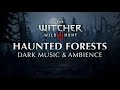 The Witcher Music & Ambience | Night of Monsters 4K