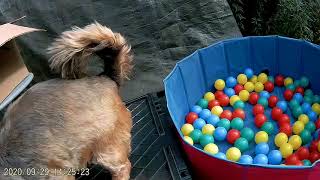 Relaxed En Rustig Aan De Tepels...