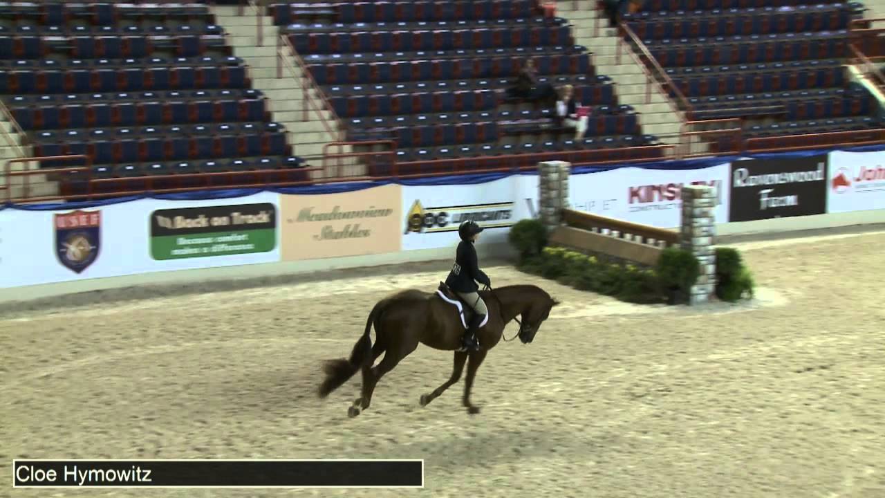 426 PERFECTIONIST Cloe Hymowitz, Class 38 Large Junior Hunter 16 17 Handy