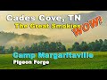 Camp Margaritaville RV Resort | Cades Cove Black Bear | Gatlinburg | The Great Smokies