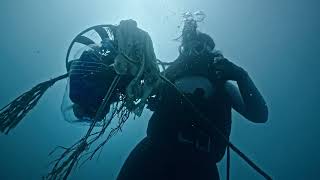 ASUS Zenbook | The Incredible Laptop Designs for You.