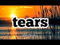 Lisa Komine - tears (Romaji/English)