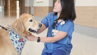 Mercyhealth's Loving Tails Pet Therapy Program - Rigatoni