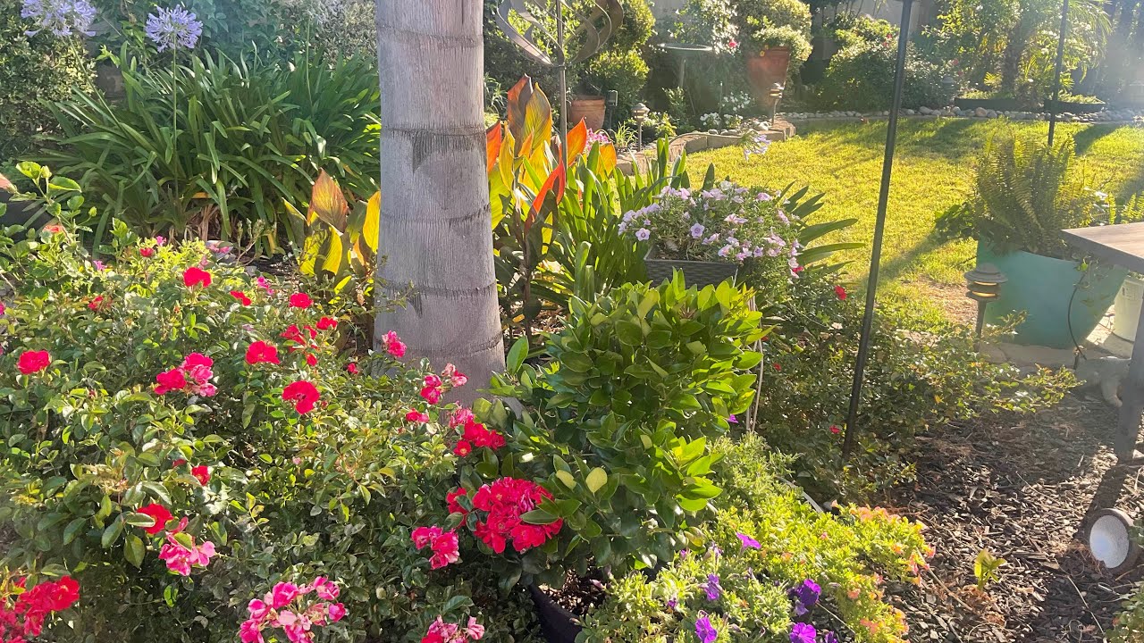 July garden tour 2022🌸🌸🌸 YouTube