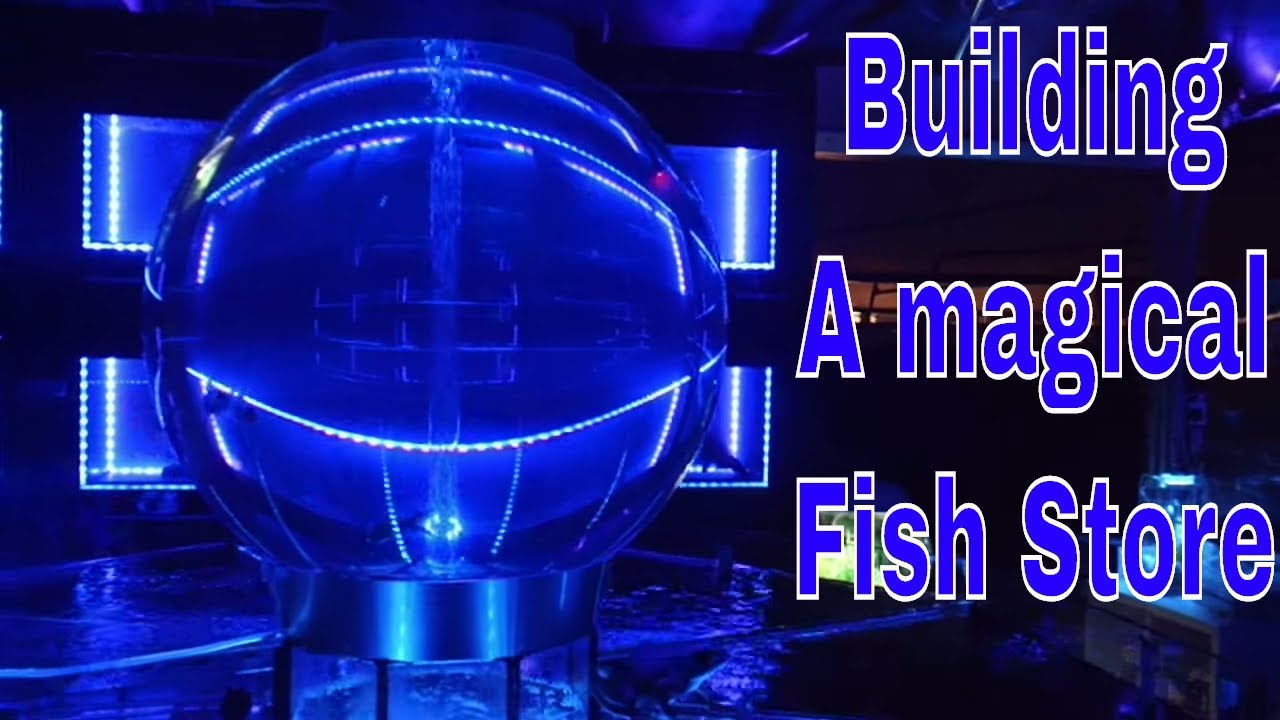 Turning a poly tunnel into an amazing fish store!! YouTube