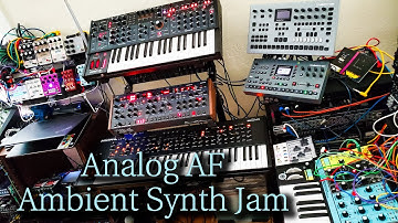 Elektron Analog Four, Moog Matriarch, Sequential OB-6, Pro 3, Prophet X, Octatrack, Virus Synth Jam