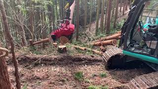 【2021/1/26】ロングリーチ伐倒ソー MECANIL SG280F 九州林機社長現地指導（径〜50cm）