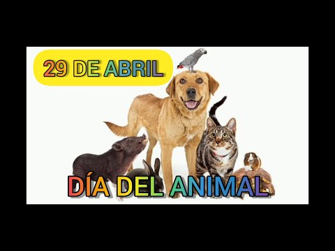 Día del Animal: Actividades para Primer Ciclo