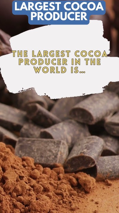 LARGEST COCOA PRODUCER shorts curiosities 26 YouTube largest-cocoa-producer-shorts-curiosities-26-youtube